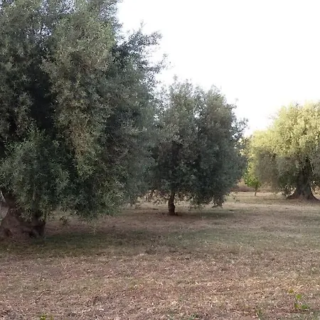 Holiday home Dimore Del Carrubo - Loft Ad Avola